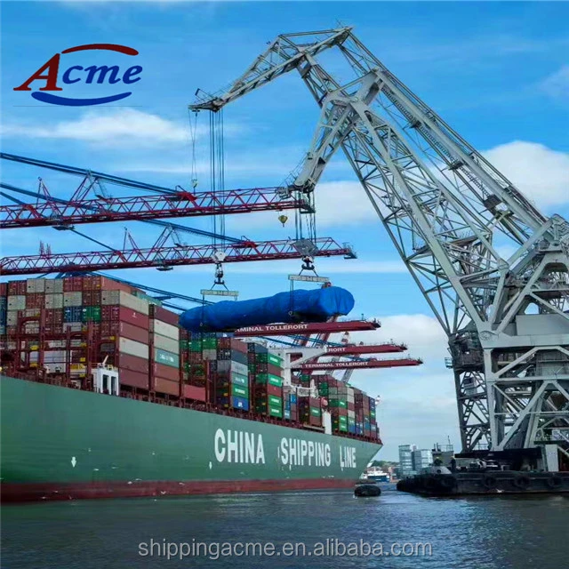 Professional Freight Forwarder Sea Shipping Agent Shipping Cost Rates China to The World