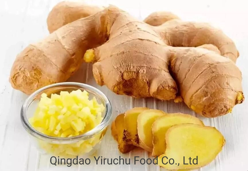 Chinese Dehydrated Vegetable Exporters Dried Ginger Slices/Ginger Dry Herbs Bulk