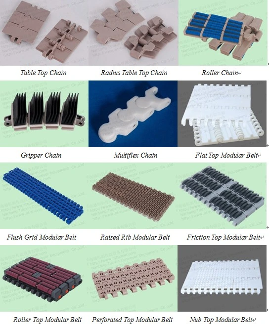 Convoyeur Haasbelts 60p miniature de la courroie de la chaîne spéciale en plastique modulaire