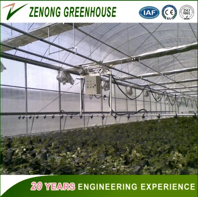 Commercial Used Intelligent PC Sheet Greenhouse for Vegetables/Crops/Fruits Growing in Clean &amp; Healthy Environment