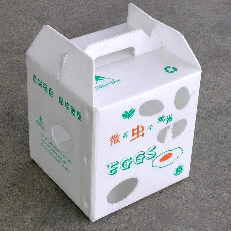 Plastic Corrugated Packaging Turnover Cartons for Vegetables and Fruits