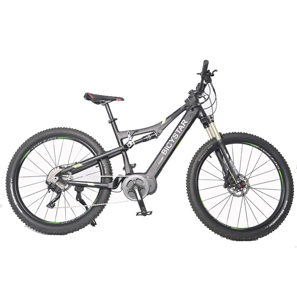 EBike CE/eBike Mountainbike/Elektro Fahrrad günstig