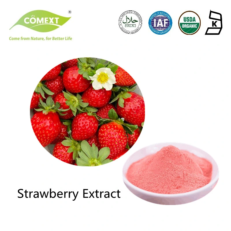 Comext Wholesale/Supplier Bulk Price Spray Dried Water Soluble Strawberry Juice Powder Extract