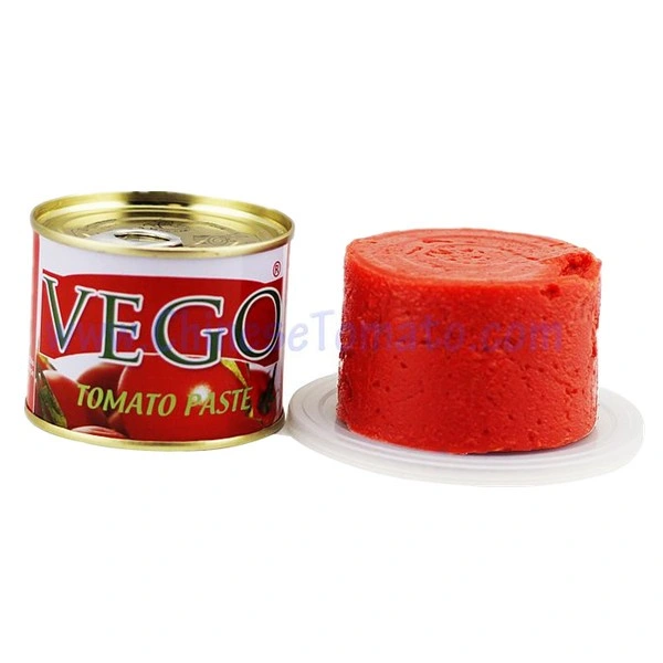 Italian Tomato Paste Canned with Best Price Without Additive From Manufacturer