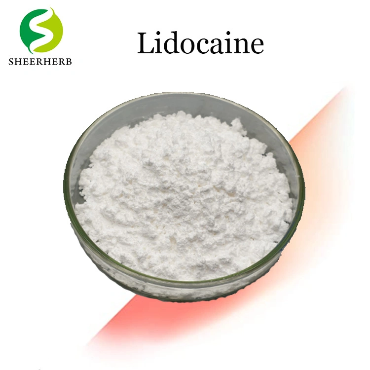 Hight Quality Medicine Raw Material Lidocaine Hydrochloride Anti-Pain Lidocaine 99% Lidocaine Powder