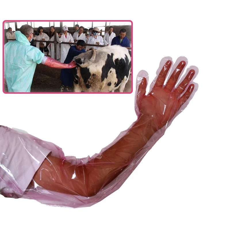 Disposable Long Arm PE Glove 100 PCS Package 90cm Veterinary Glove for Artificial Insemination