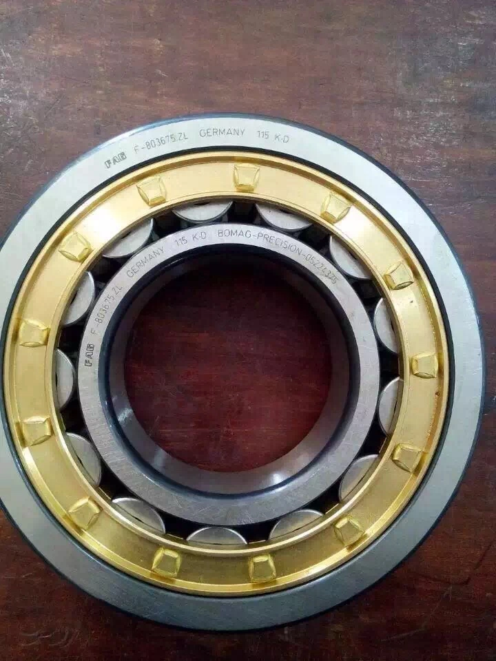 Nj204em Cylinderical Roller Bearing Brass Cage 20X47X14mm Ubc