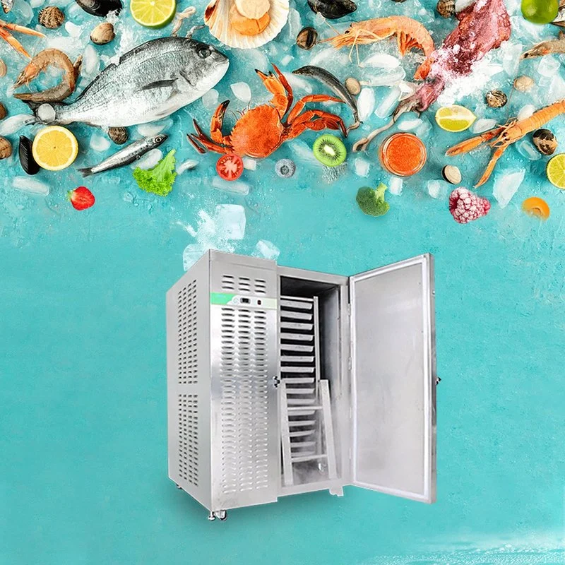 Mini Home Flash Instant Low Deep Freezer -40 für Früchte