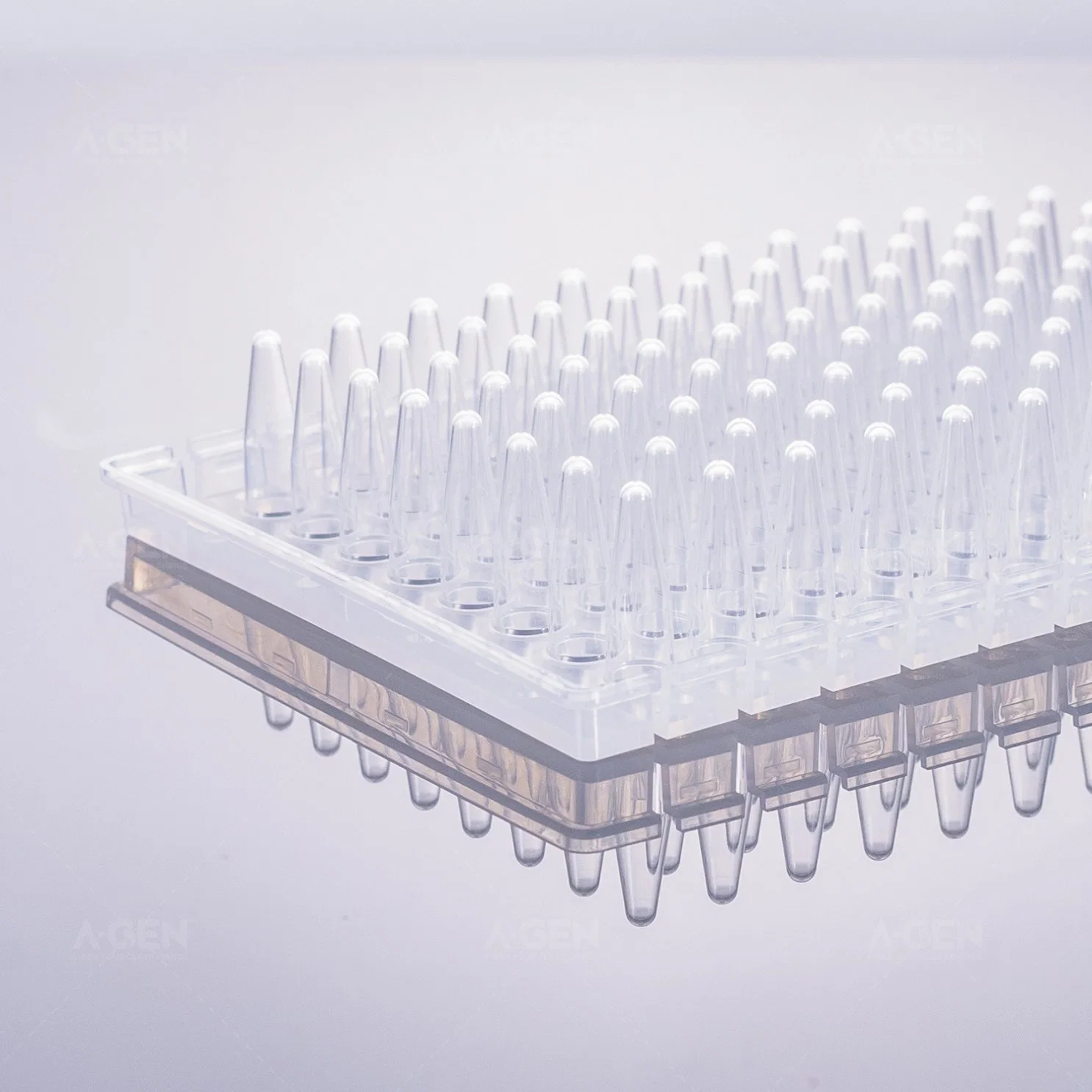 Detachable 0.2ml 96 PCR Plate, Clear, Half Skirt