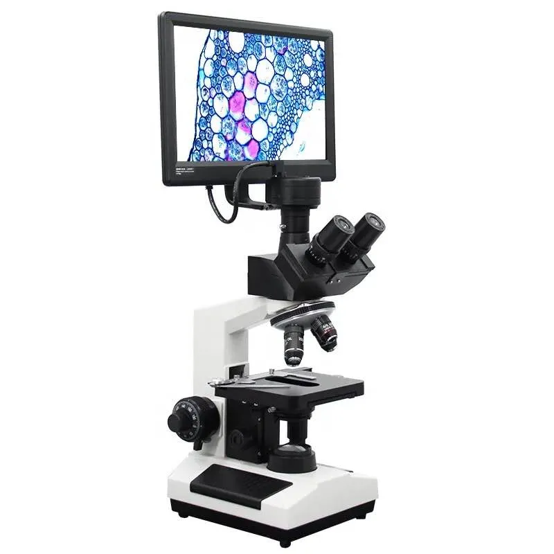 Hot Sale Laboratory Binocular Biological Microscope