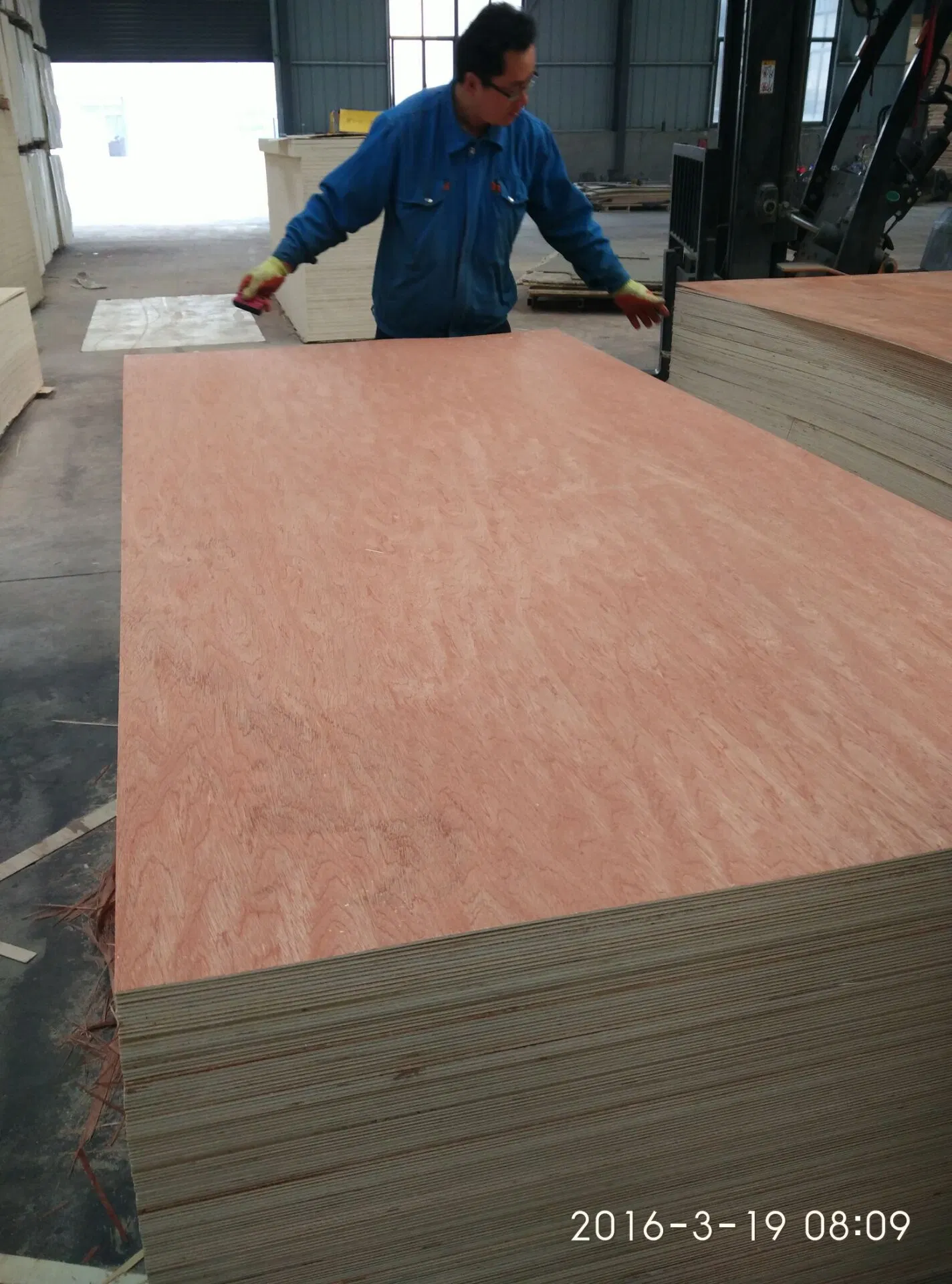 12/18mm High quality/High cost performance  Bintangor /Okoume Commercial Plywood