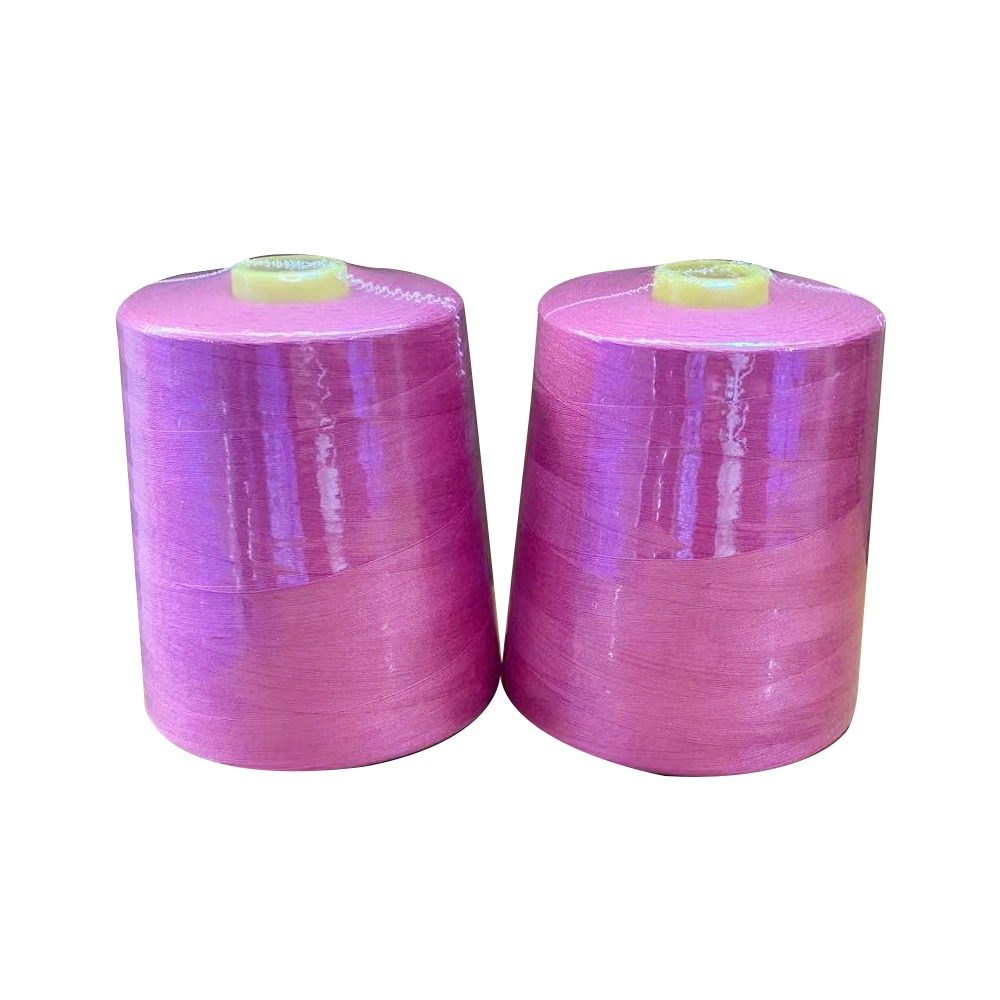 Wholesale/Supplier 100% Polyester Sewing Thread 40s/2 5000 Yards for Home Sewing Machines