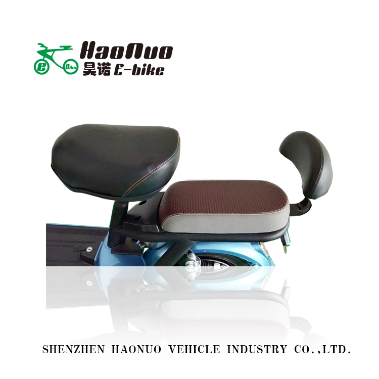 2020 Popular 48V 350watt Electric Adult Electric Motorcycle