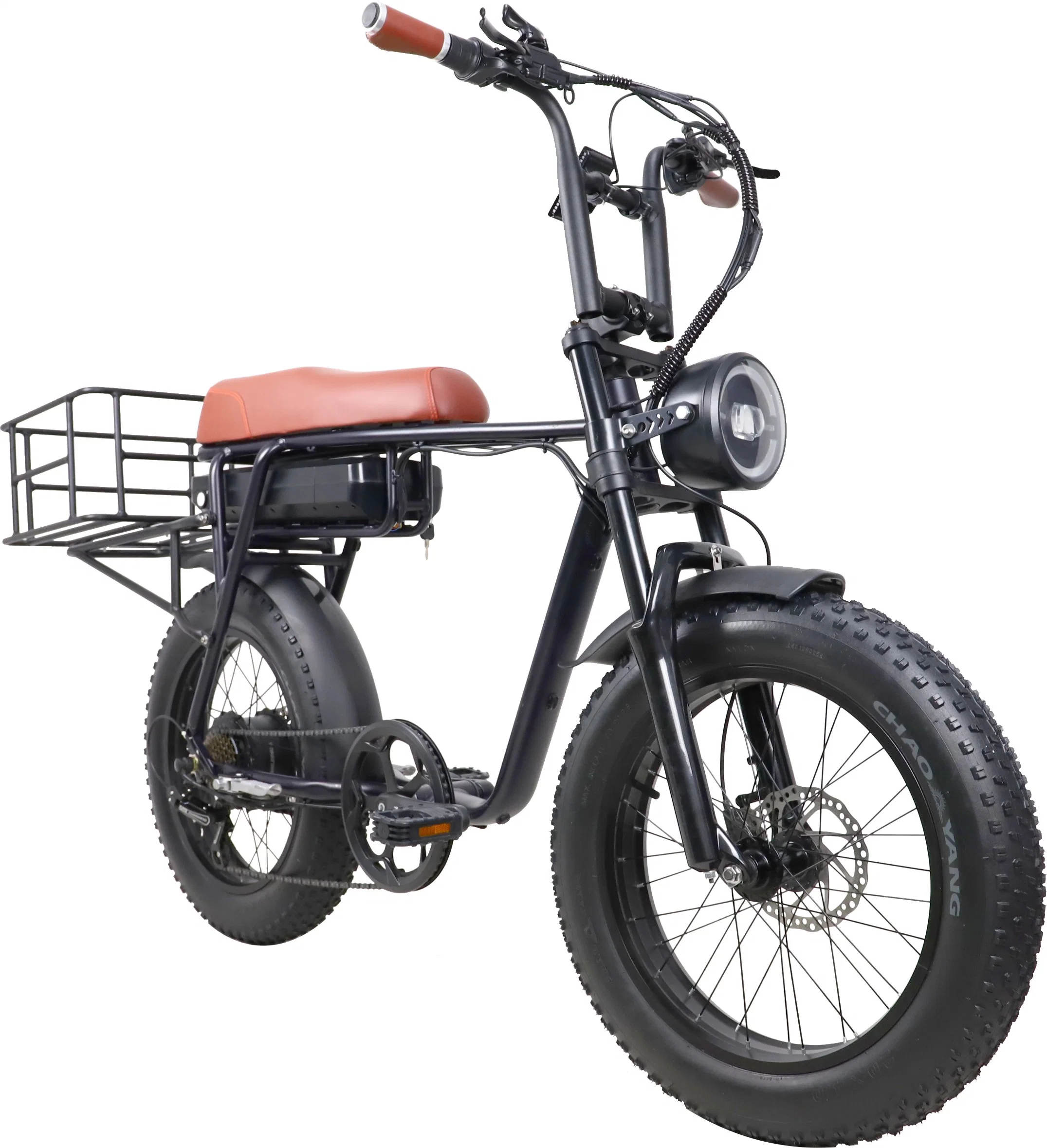 ATV Vélo électrique 750W 1000W Moteur 48V 20 pouces Pneu gras Vélo électrique longue portée hors route Affichage MID Drive Moto Frein hydraulique Vélo électrique.