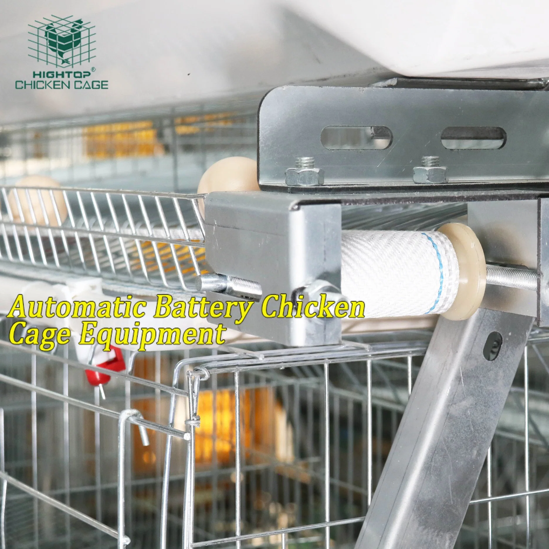 A Type Automatic Layer Poultry Chicken Cage Manure Belt Jaula PARA Pollos