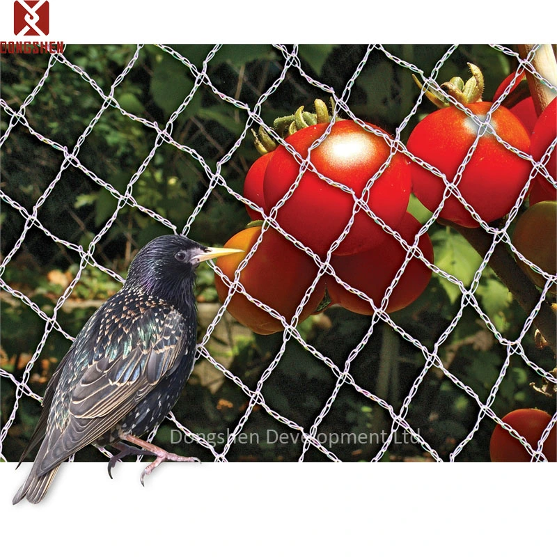 Heavy Duty HDPE UV Stabilised Knitted Poultry Plant Bird Netting Aviary Fruit Garden Protection Net