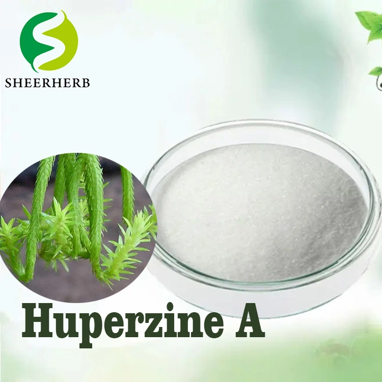 Huperzine un sommeil/Huperzine a Nootropique/Huperzine un haut/Source Naturals huperzine A