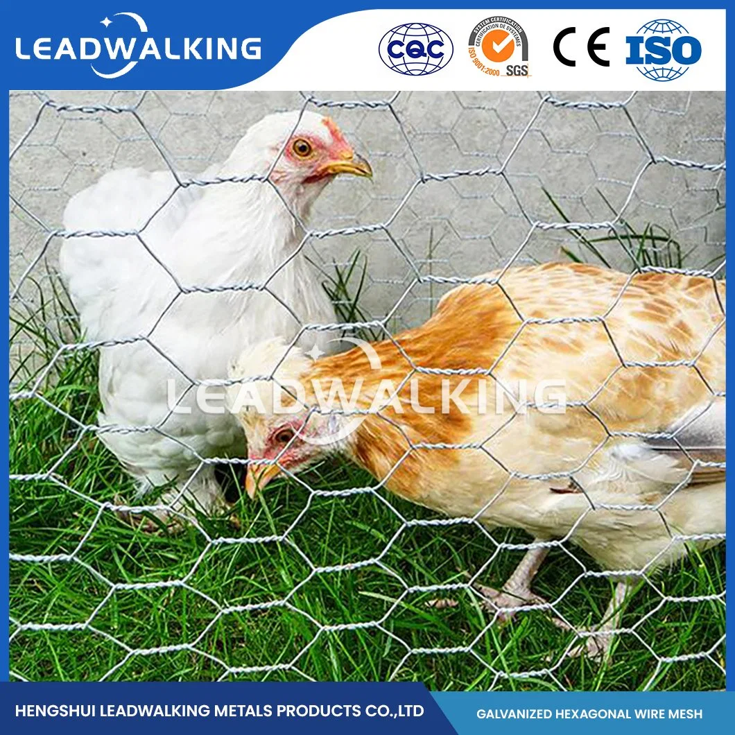 Leadwalking China 48 Inch Poultry Netting Manufacturers Mild Steel Wire 16mm Mesh Professional Galvanized PVC Coated Hexagonals Wire Mesh Cage for Poultry