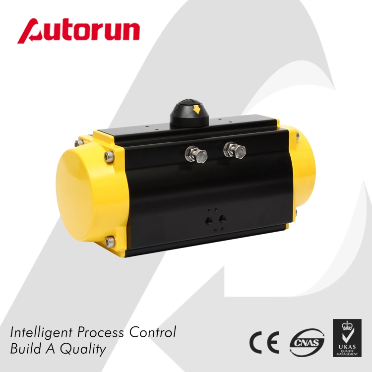 Chinese Wenzhou Manufacturer Rt Quarter Turn Pneumatic Actuator