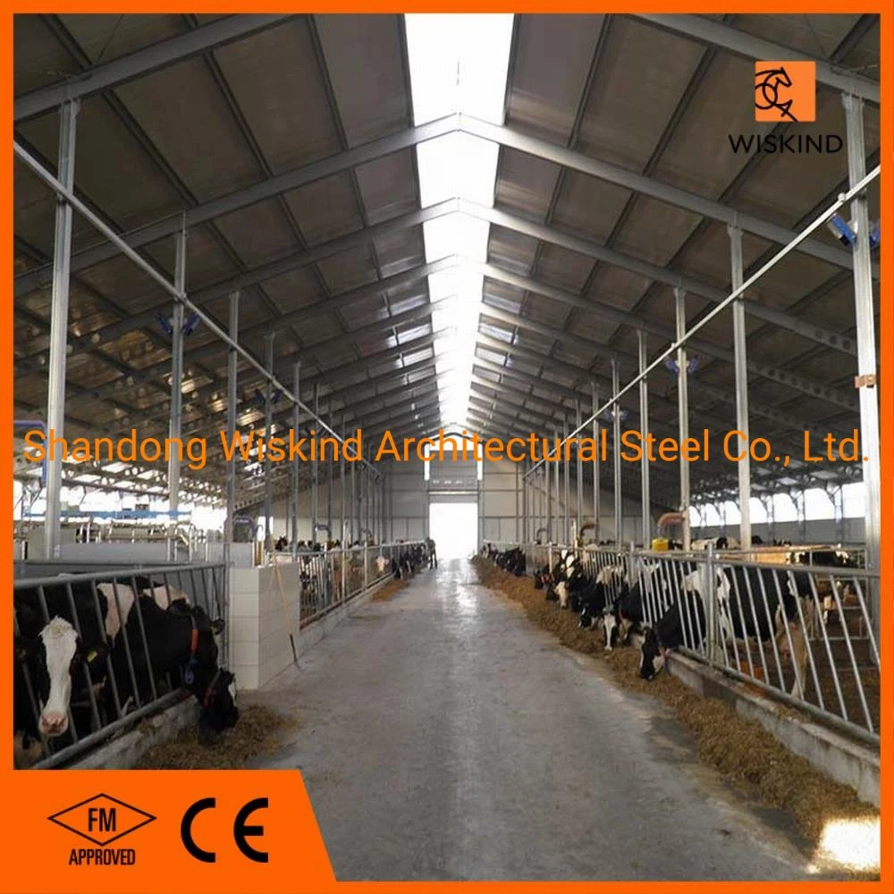 Chinese Manufacture Low Cost Steel Structure for Warehouse/Workshop/Garage/Office Building