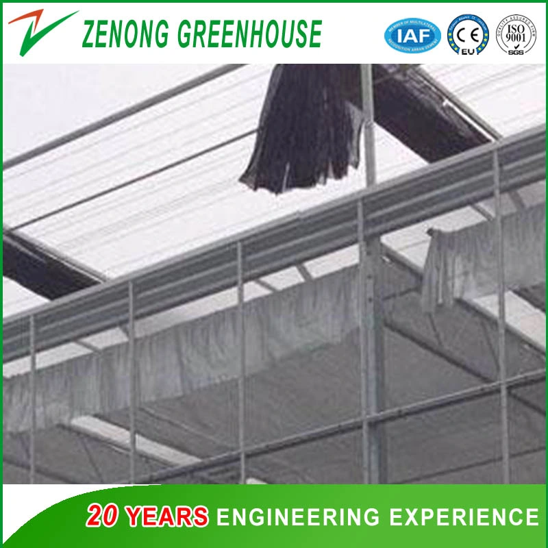 Greenhouse Inside Shading System for Cooling Down