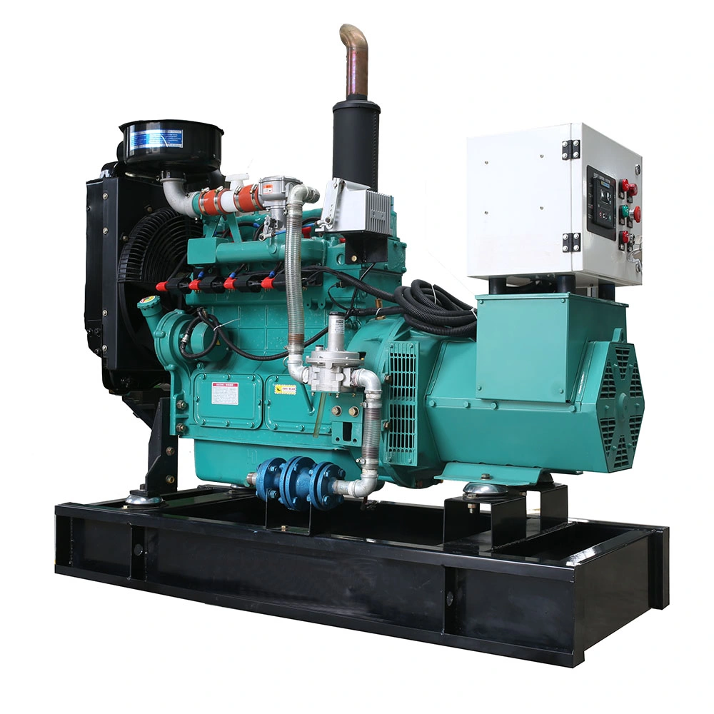 25kVA LNG CNG Generator Set Price