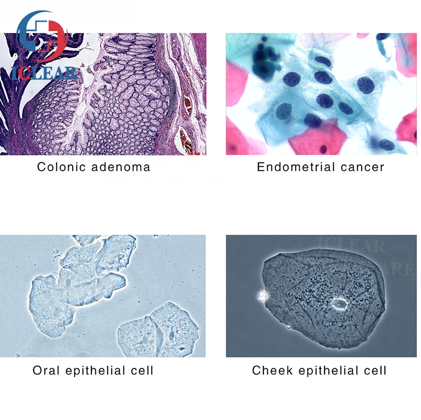 Multi-Functional 6 Digital Filter Lab Biological Fluorescence Microscope with Camera