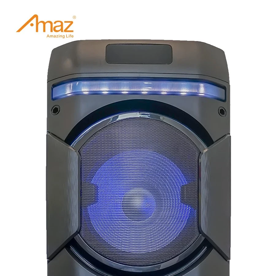 Fábrica de China Amaz OEM personalizados al por mayor de 10 pulgadas doble altavoces Karaoke