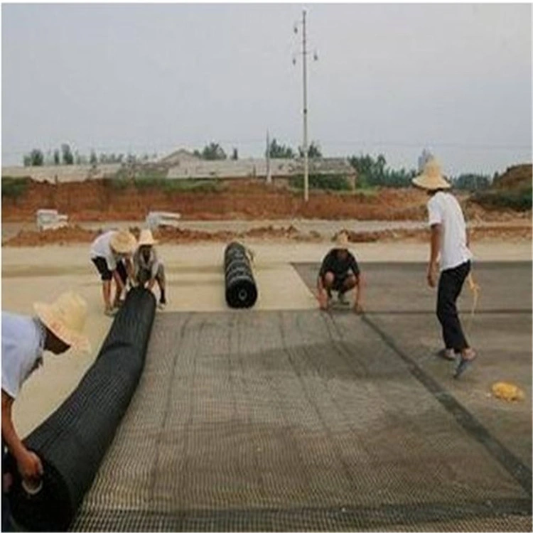 High quality/High cost performance Black Polyester Biaxial Pet Grid Pavers for Gravel Geogrid Price