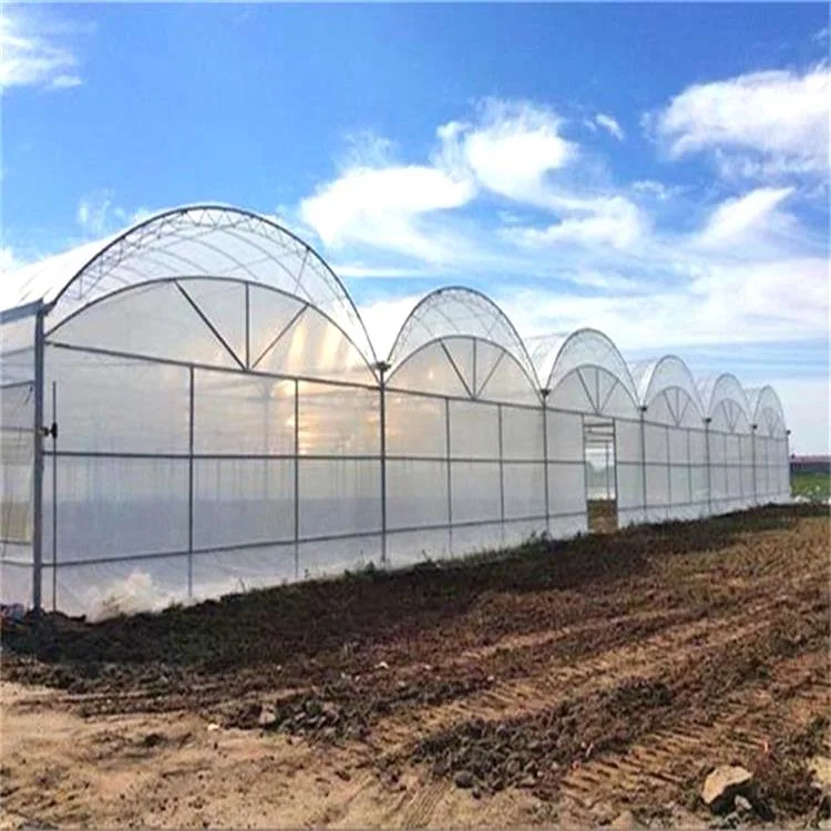 Hot Sale Low Cost Green Houses Agriculture Commercial Polytunnel Plastic Film Greenhouse for Lettuce/Tomato with Hydroponic Growing Systems