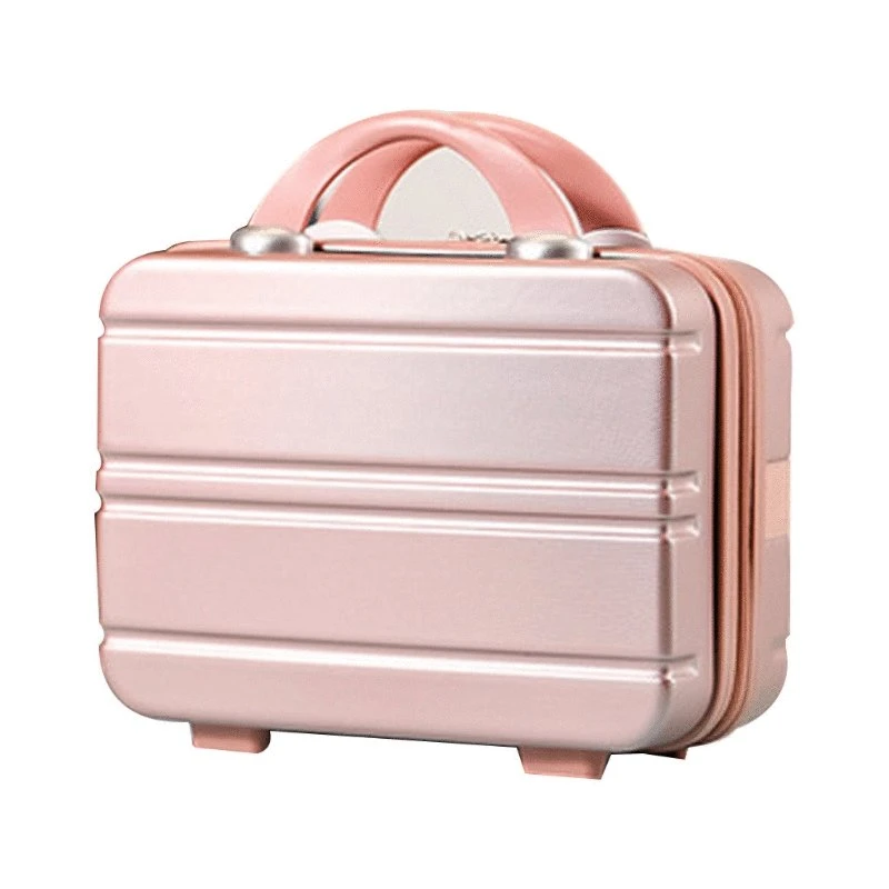 Beauty Ladies Plastic Carrying Cosmetic Bags OEM