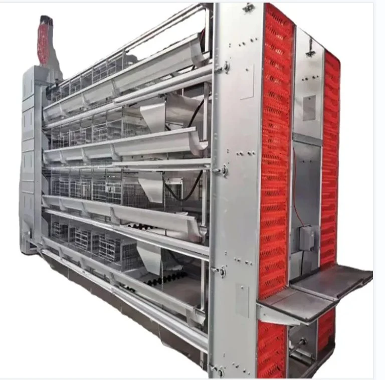 Automatic Cage Egg Layer Chicken Farming Poultry Equipment for Laying Hen Farm