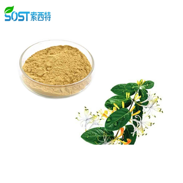 Wholesale/Supplier Honeysuckle Extract Powder Chlorogenic Acid