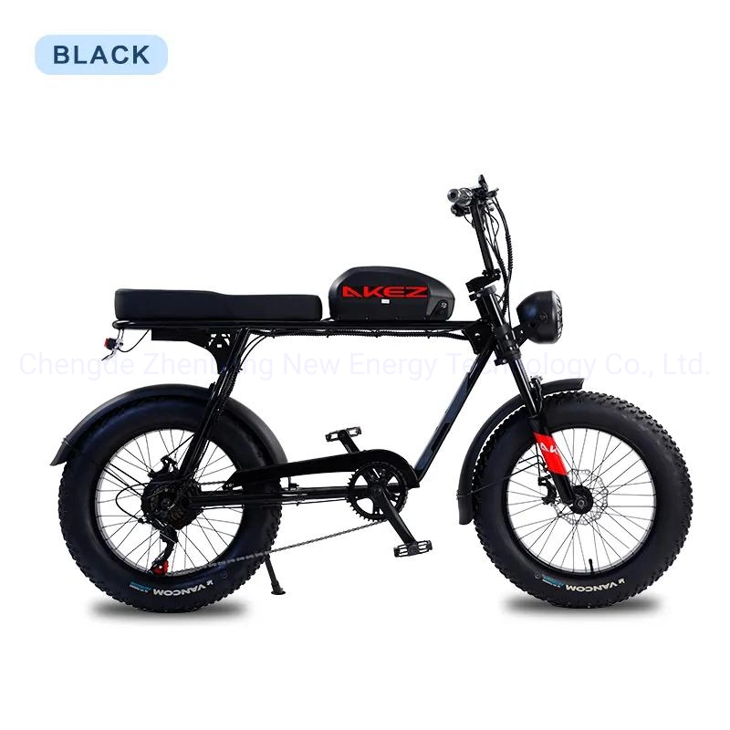 2023 Chine Nouveau 48V13ah pneus de neige 20 pouces vélos d'ebike bon marché Moto moto moto électrique pour les adultes