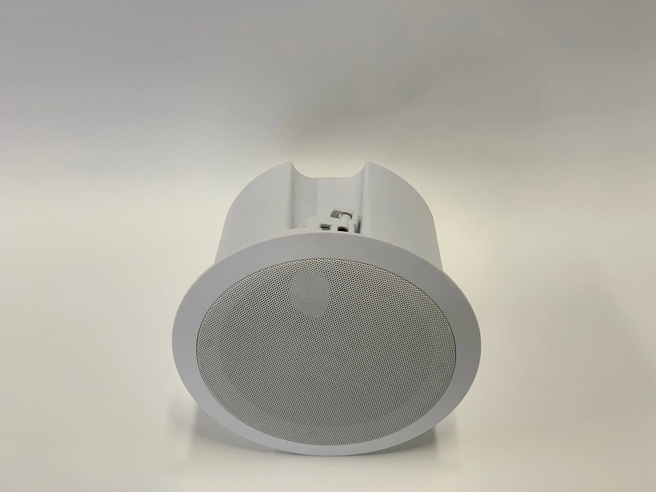 IP Network Poe Public Address Ceiling IP Speaker