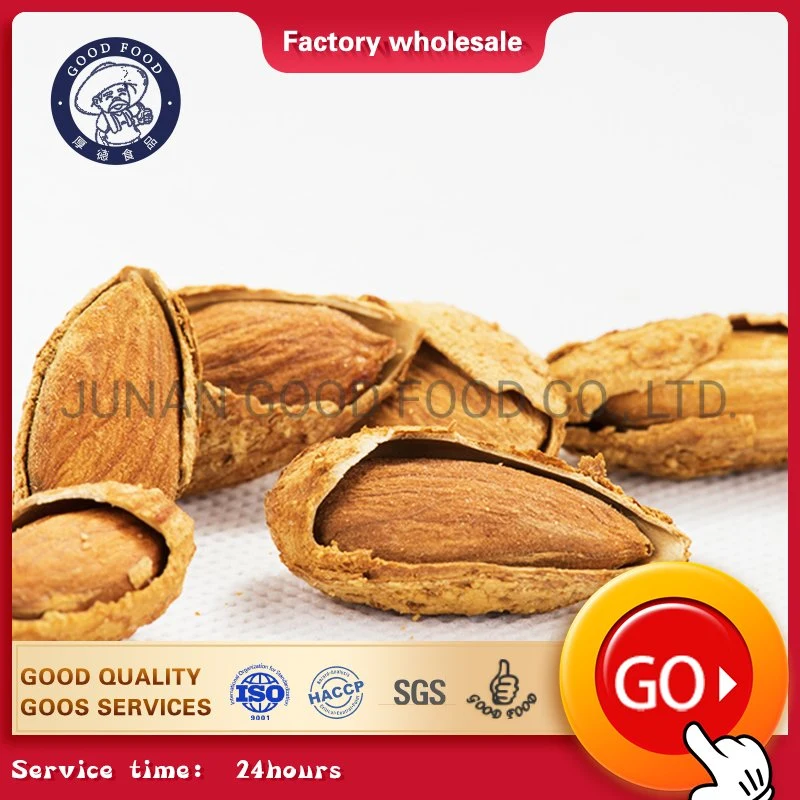 Almond Nuts Price / Almond Kernel / Almond Wholesale/Supplier Price