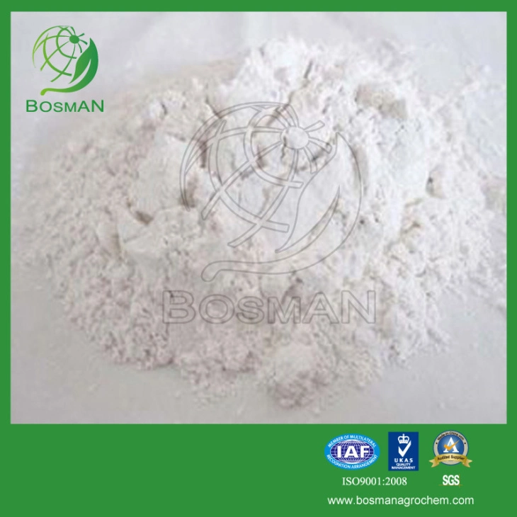 Insecticide hydrogenoxalate Thiocyclam-TC 95 %, 50 % SP