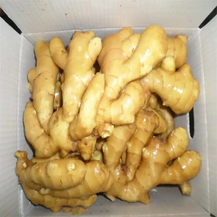 2023 New Harvest Top Laiwu Quality Fat Young Fresh Ginger IQF Frozen Ginger for Hot Selling Vegetable