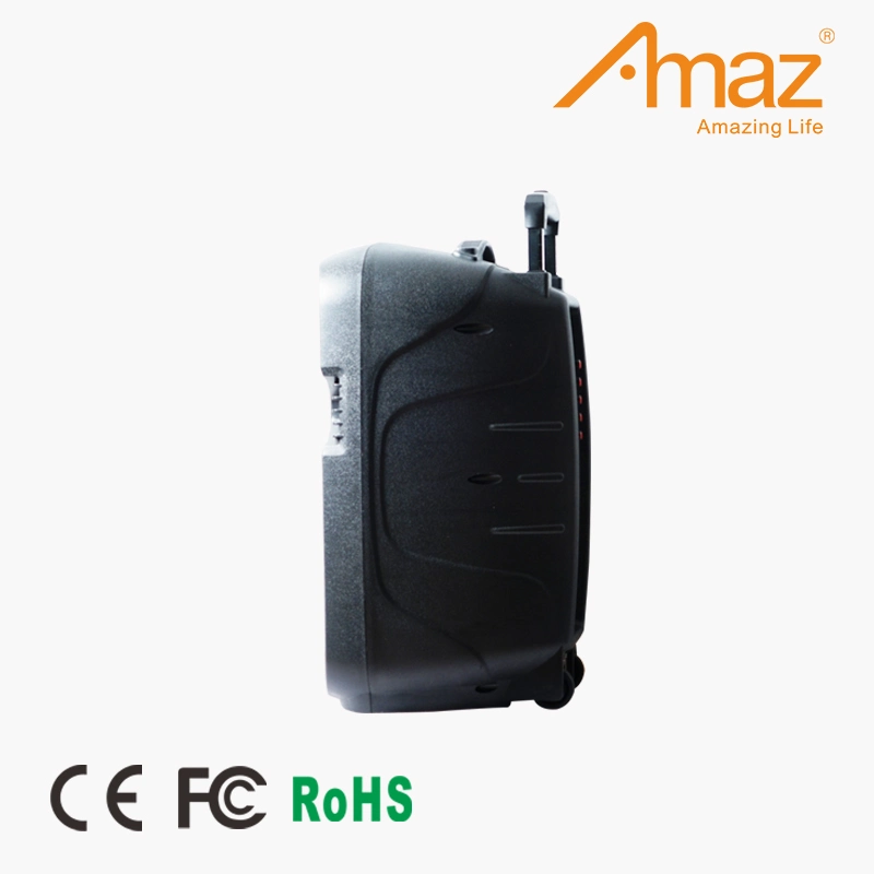 Amaz Original Factory Wholesale/Supplier Price 12 Inch Wireless Bt Speaker Trolley Speaker for Party