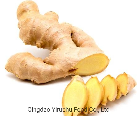 High quality/High cost performance  Fresh Ginger Market Price Per Ton of Wholesale/Supplier China Shandong Exports