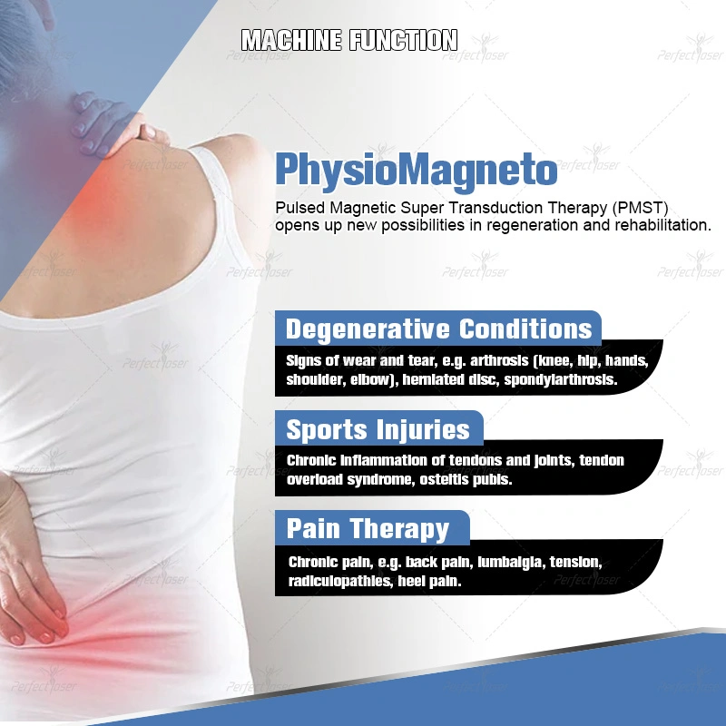 Pmst Emtt Physio Magneto Red Terapia láser lámpara portátil Belleza Equipo