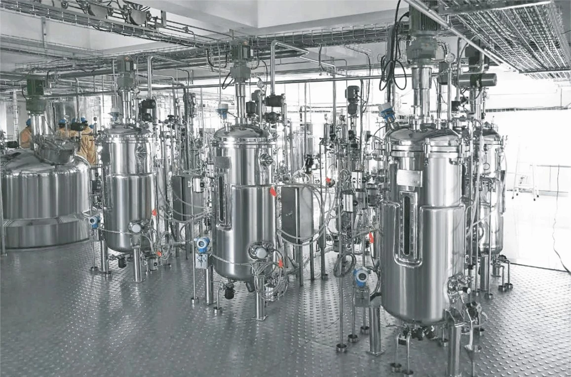 Stainless Steel Fermentation Mixer Machinery Bio Fermenter Microbial Fermentor for Microbial Fermentation