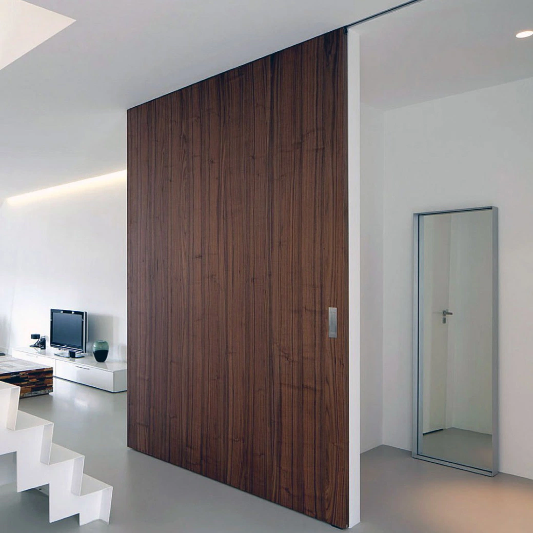 Sliding Interior Room Wooden Cloth Door