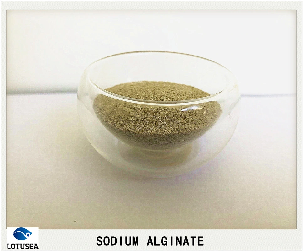 Sodium Alginate for Textile Reactive Dye Use 200mesh 200cps