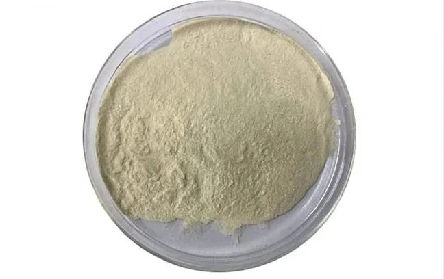 Health Food Supplement Pure Soy Protein Peptides Powder