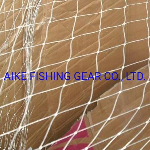 Hot Sale Bird Netting, Nylon Fishing Net, 110d/2 10mmsq