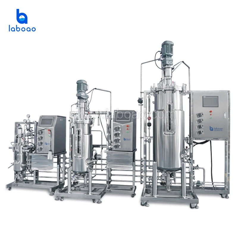 Laboao Tertiary Cell Culture Bioreactor Machine Stainless Steel Fermenter System