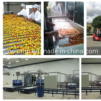 Aloe Juice Puree Jam Pulp Cream Processing Line