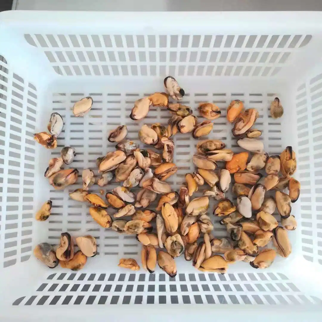 Frozen Cooked Mussel Meat 100-200