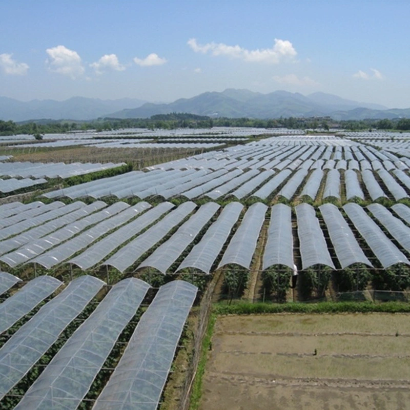 High-Quality Greenhouse with Galvanized Steel Frame and Innovative Processing Techniques